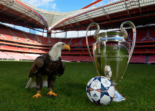 更深层的影 更深层的影